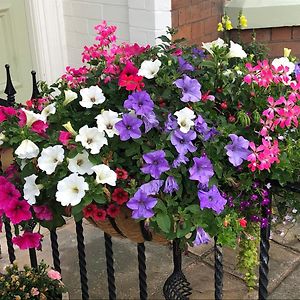 Carlton Guest House